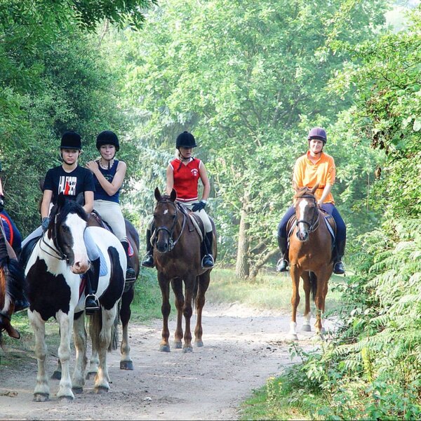 Bild zu Clayesmore School