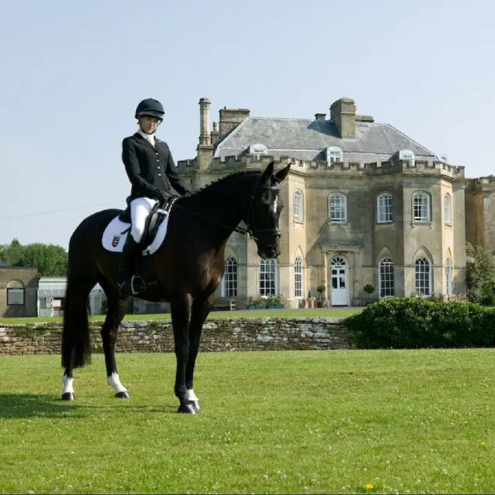 Header-Bild zu Stonar School