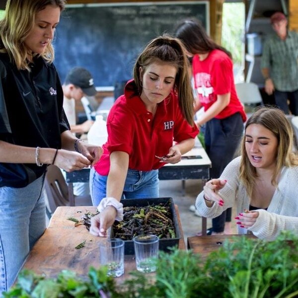 Bild zu Hawaii Preparatory Academy