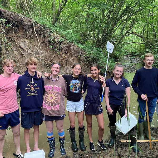 Bild zu King`s Bruton