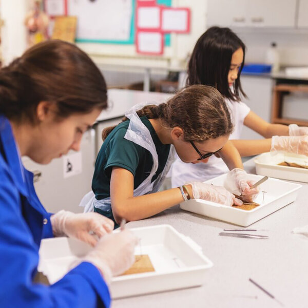 Bild zu Cheltenham Ladies` College