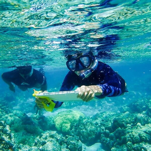 Bild zu Hawaii Preparatory Academy