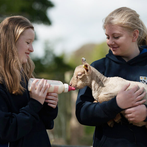 Bild zu Lancing College