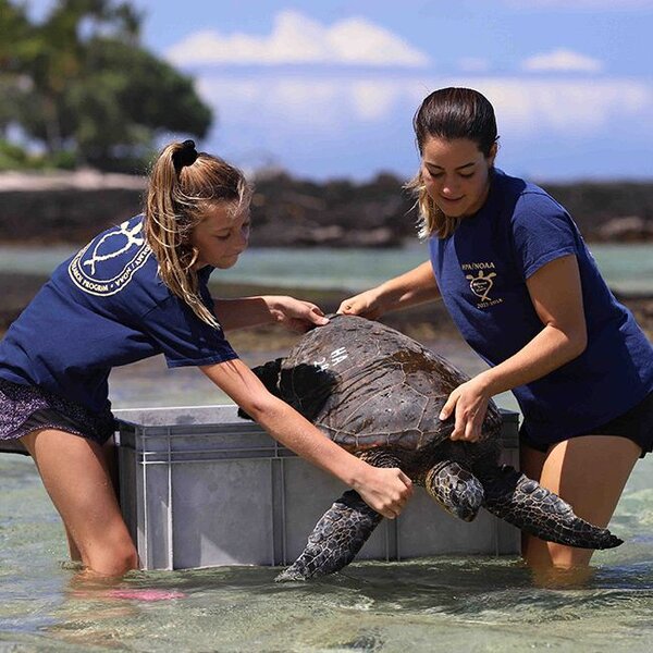 Bild zu Hawaii Preparatory Academy