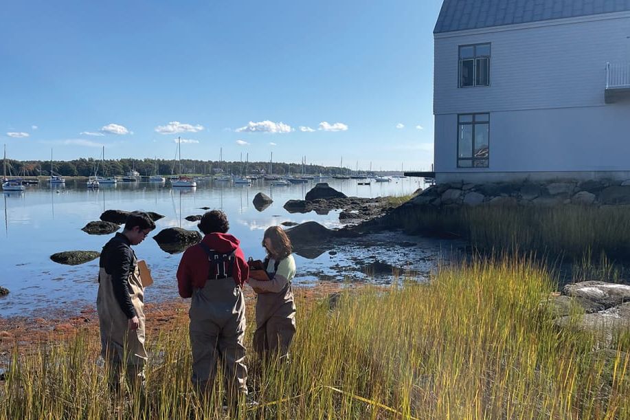 Internat am Meer, Meeresbiologie, Segeln im Internat